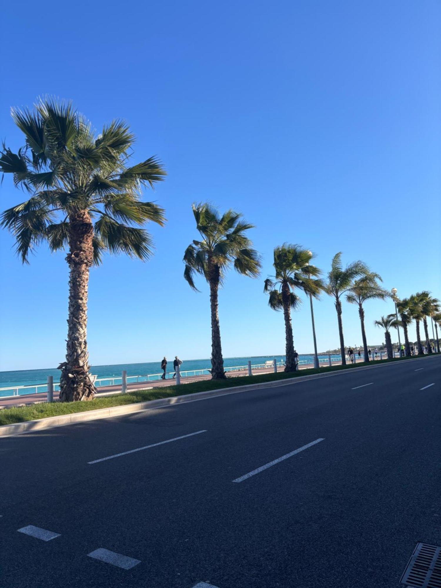 Grand Studio De 30 M2 Promenade Des Anglais Nice Ngoại thất bức ảnh